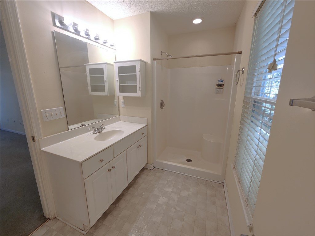 208 Blue Ridge Drive Clemson, SC 29631 - Photo 14 of 28 Master Bath