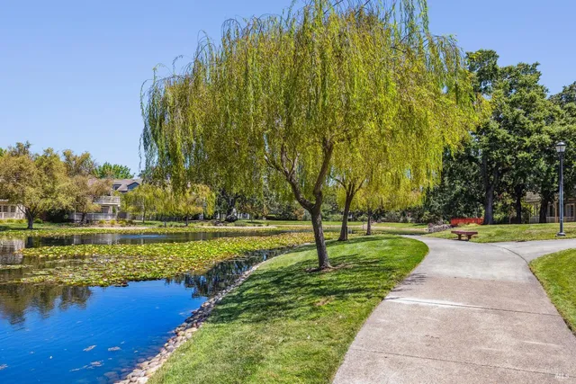 a view of a swimming pool with a yard and plants