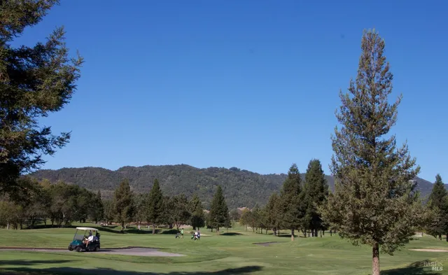 a view of outdoor space and garden