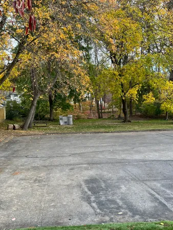 a view of a yard