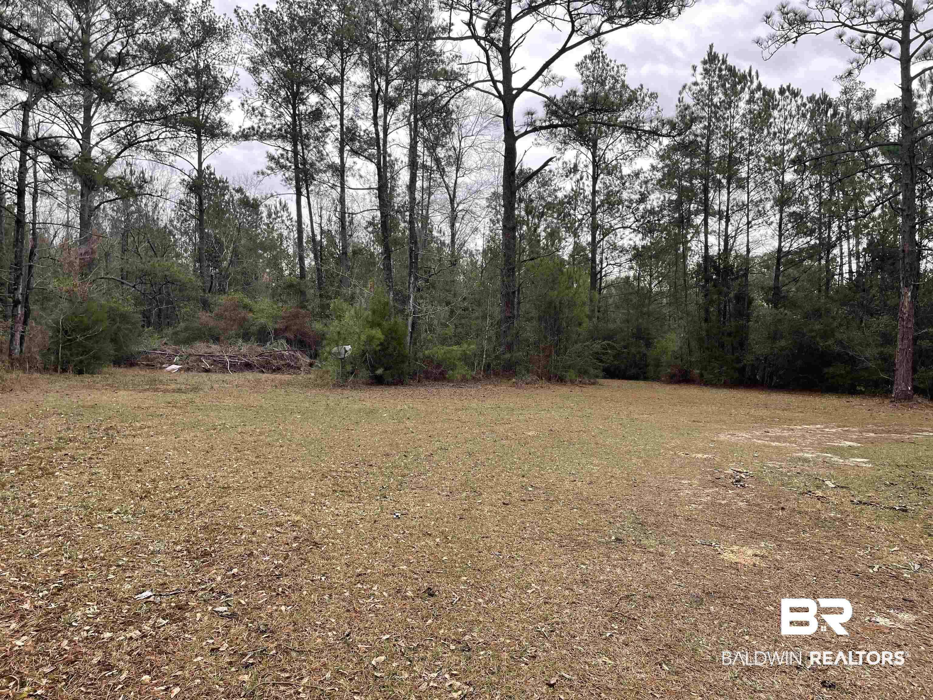1245 Forrest Avenue Brewton, AL 36426 - Photo 8 of 24