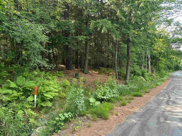 $125,000 | Goulden Ridge Road, Springfield, VT 05156