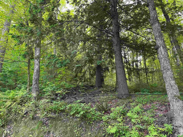 $125,000 | Goulden Ridge Road, Springfield, VT 05156