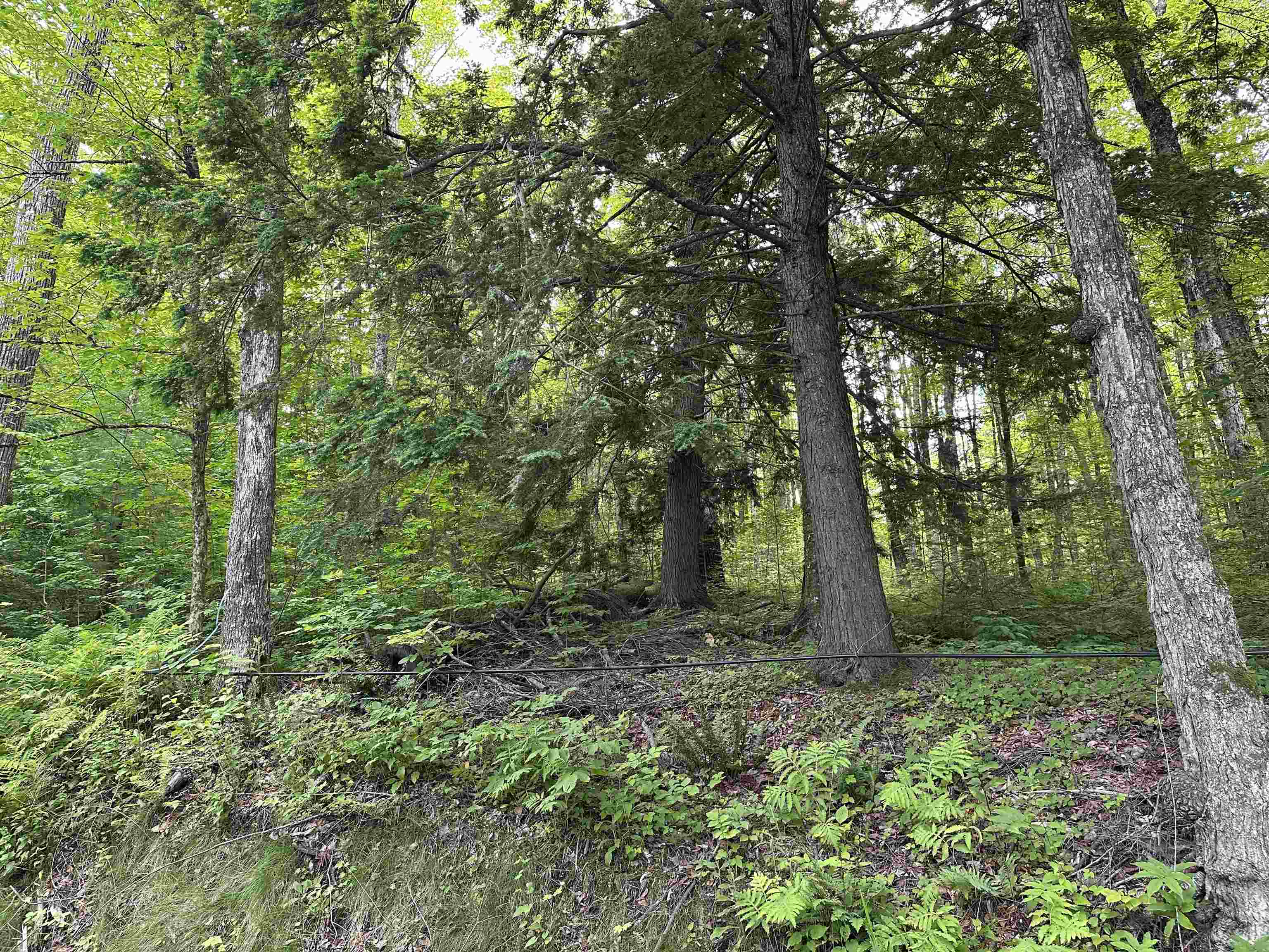 Goulden Ridge Road Springfield, VT 05156 - Photo 2 of 4