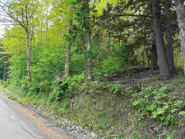 $125,000 | Goulden Ridge Road, Springfield, VT 05156