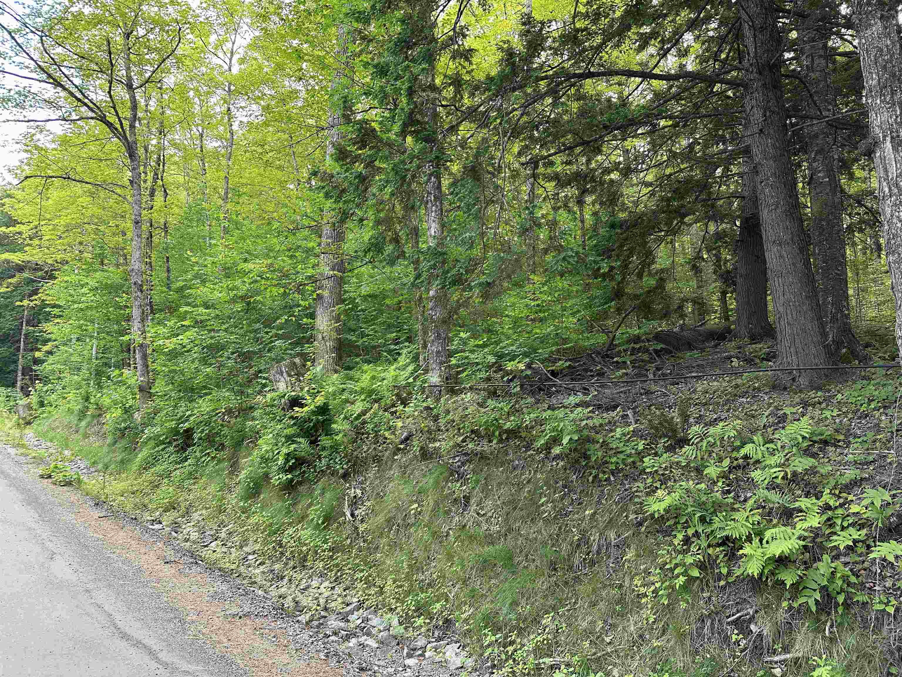 Goulden Ridge Road Springfield, VT 05156 - Photo 3 of 4