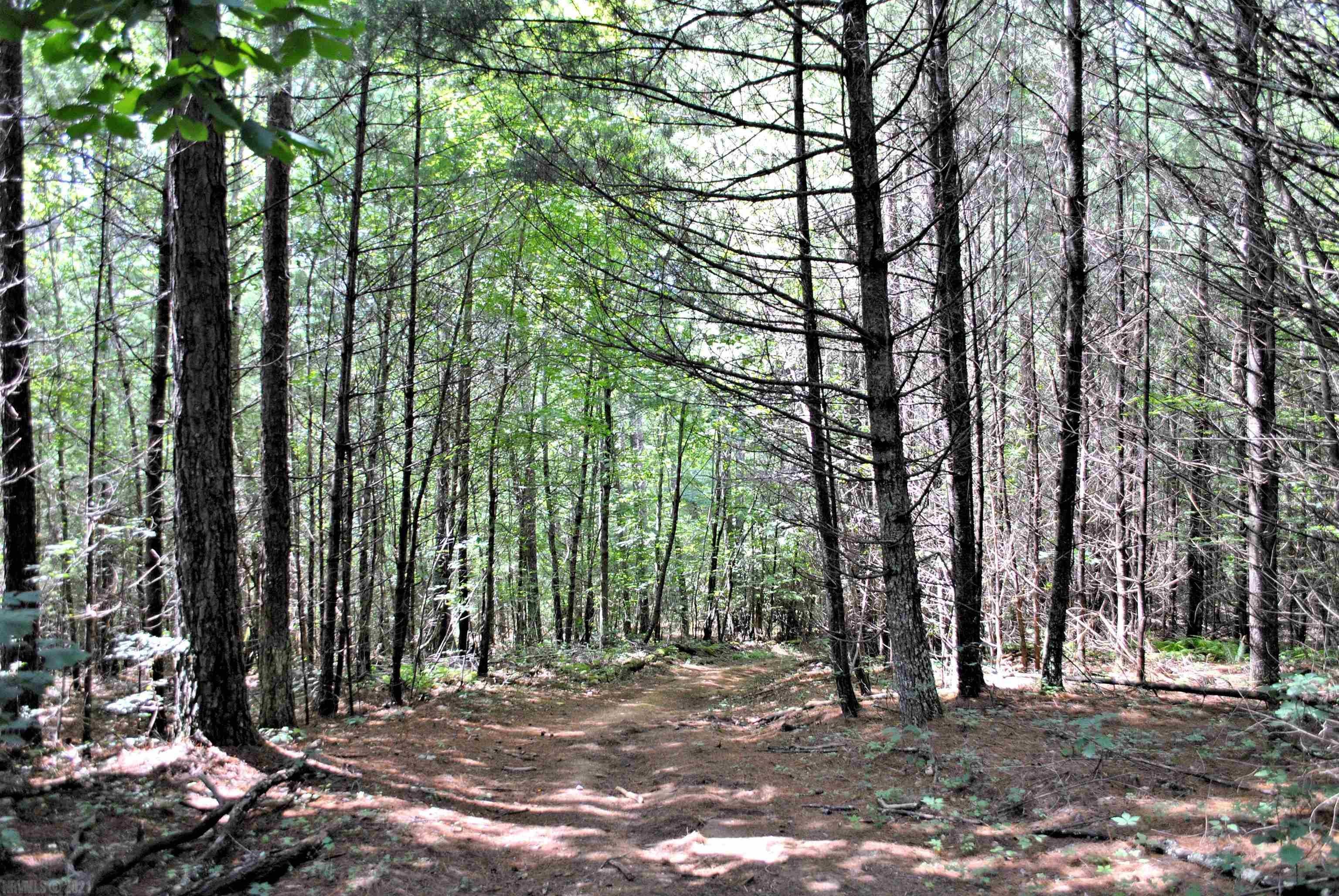 Tbd 153.054-ac Tbd 153.054-ac Chestnut Ridge Road Riner, VA 24149 - Photo 15 of 31 Gallery Image 15