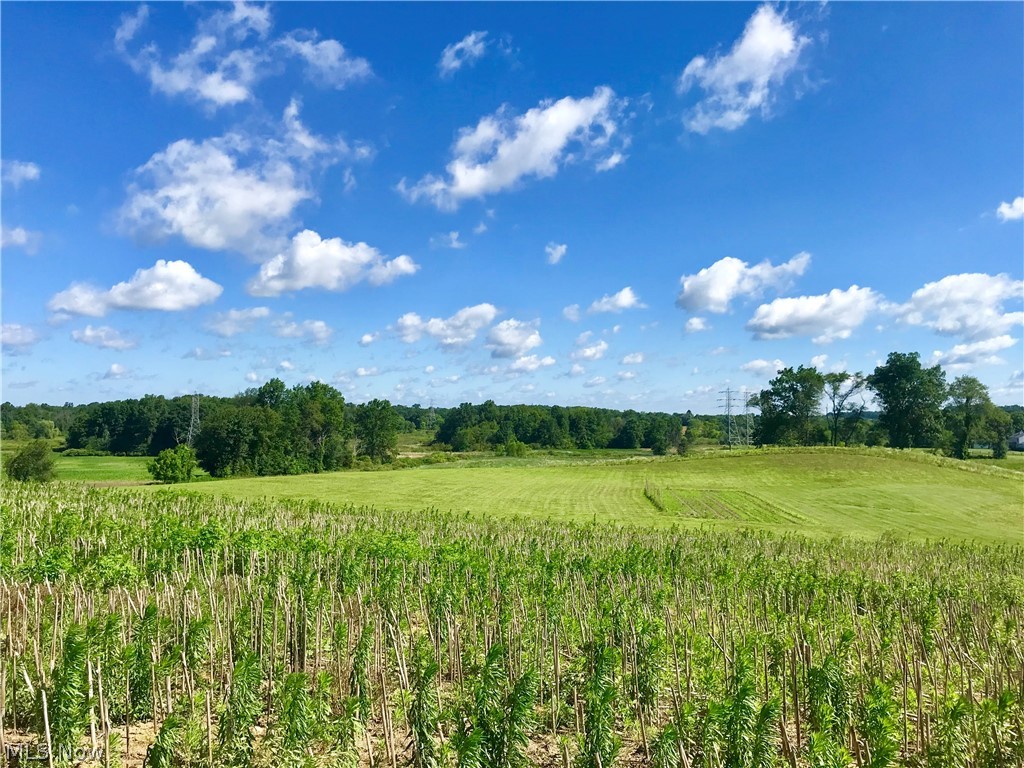 Swartz Road Mogadore, OH 44260 - Photo 3 of 18