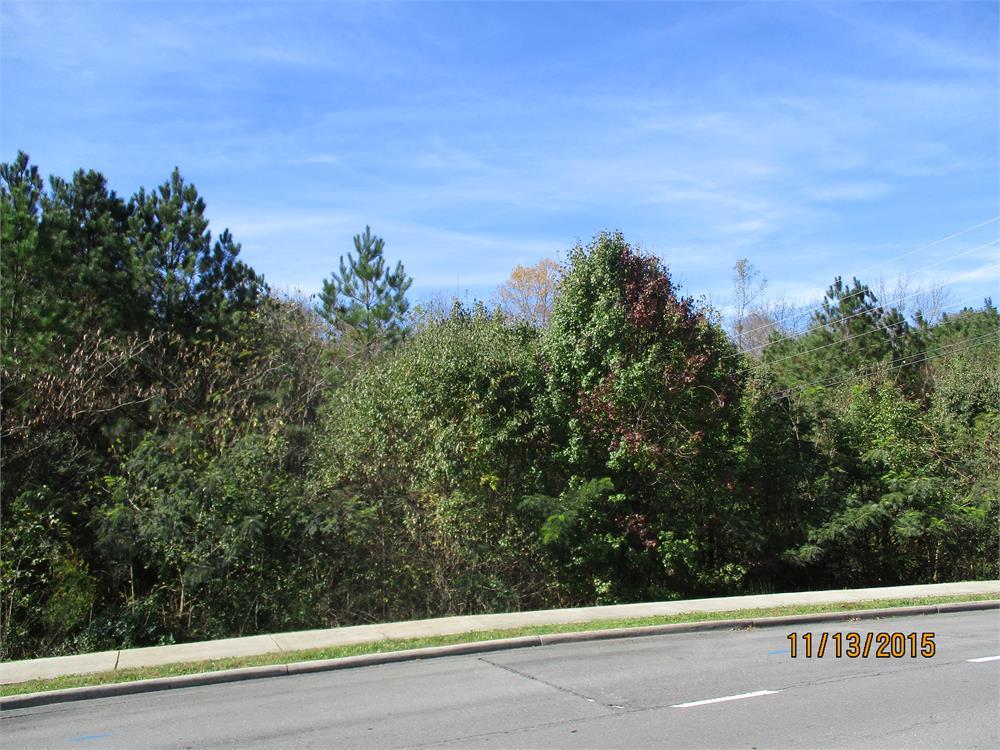 1 Haig Ml Lk Road, Unit 1 Dalton, GA 30720 - Photo 1 of 2 Main View