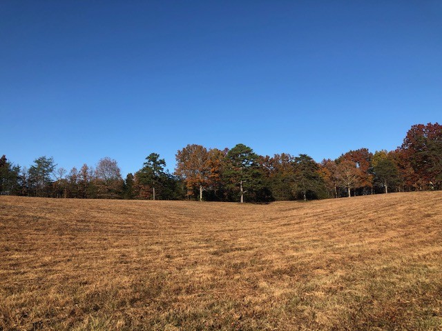 1200 Range Road Rock Island, TN 38581 - Photo 15 of 21 Gallery Image 15