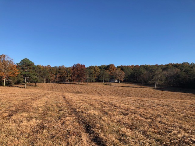 1200 Range Road Rock Island, TN 38581 - Photo 16 of 21 Gallery Image 16