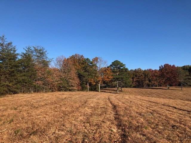 1200 Range Road Rock Island, TN 38581 - Photo 17 of 21 Gallery Image 17
