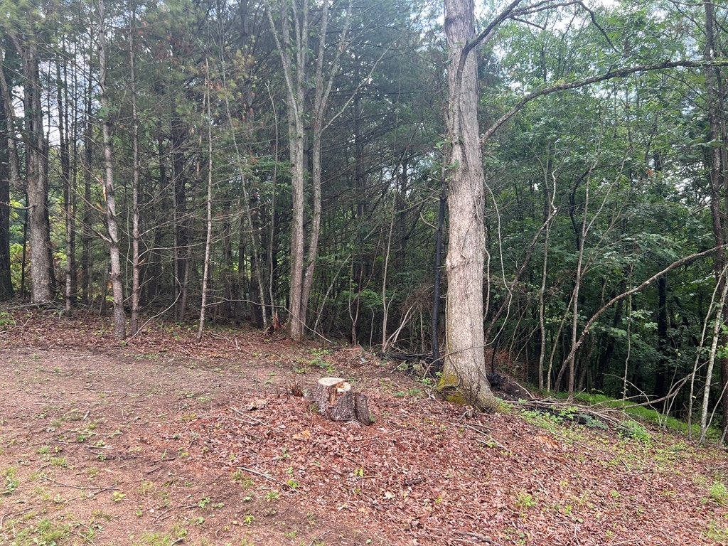 407 Grouse Ridge Road Max Meadows, VA 24360 - Photo 25 of 39 Gallery Image 25