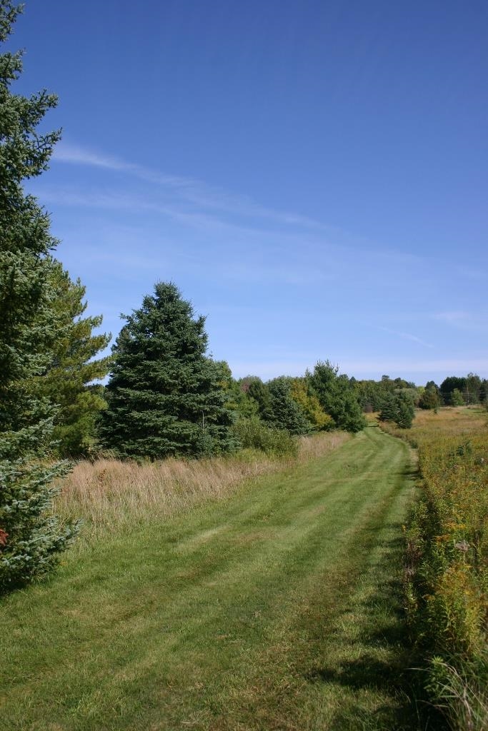 12279 Stangle Road Butternut, WI 54514 - Photo 10 of 30 Gallery Image 10