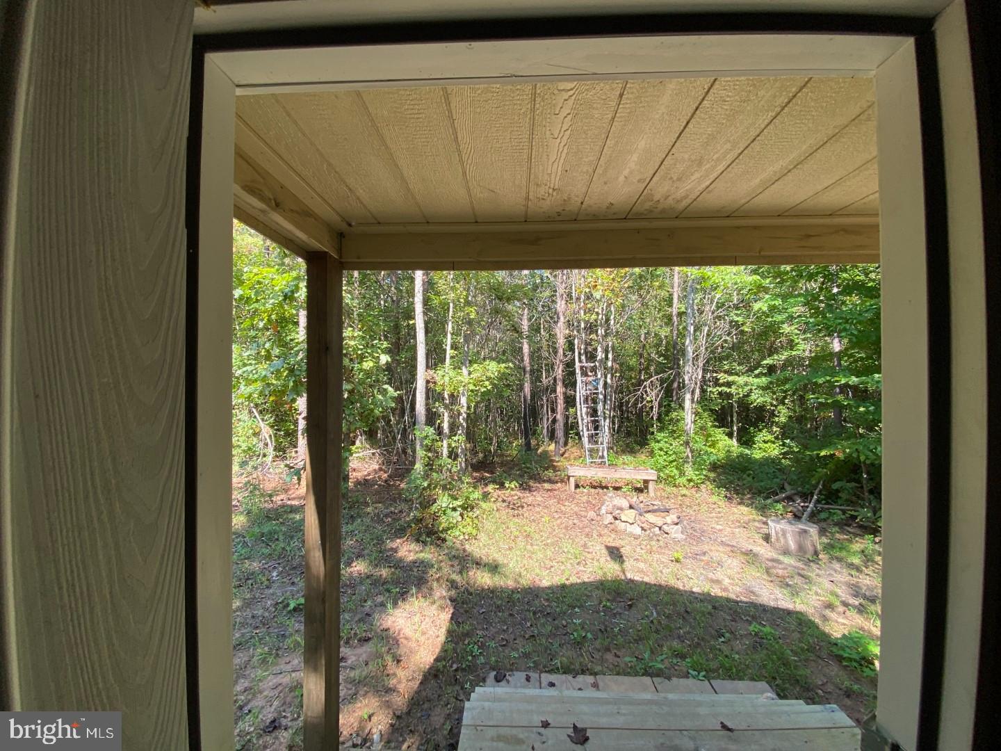 684 Squirrel Hollow Road Alberta, VA 23821 - Photo 34 of 43 Serene woodland view from the porch.
