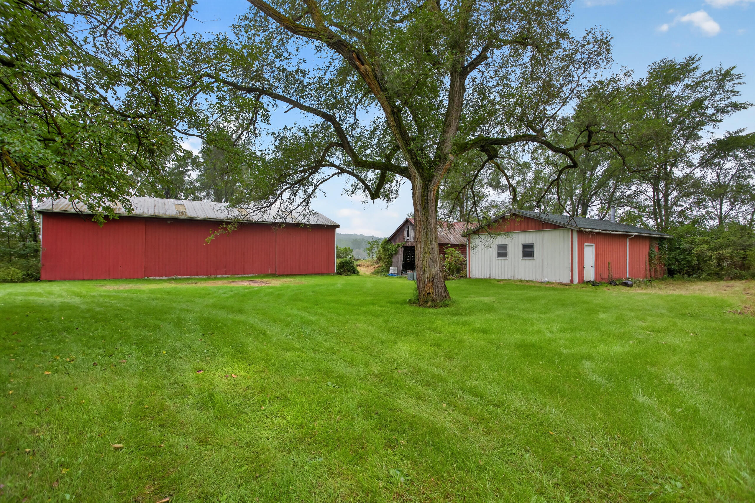 13545 East Austin Road Manchester, MI 48158 - Photo 52 of 73 IMG_8161