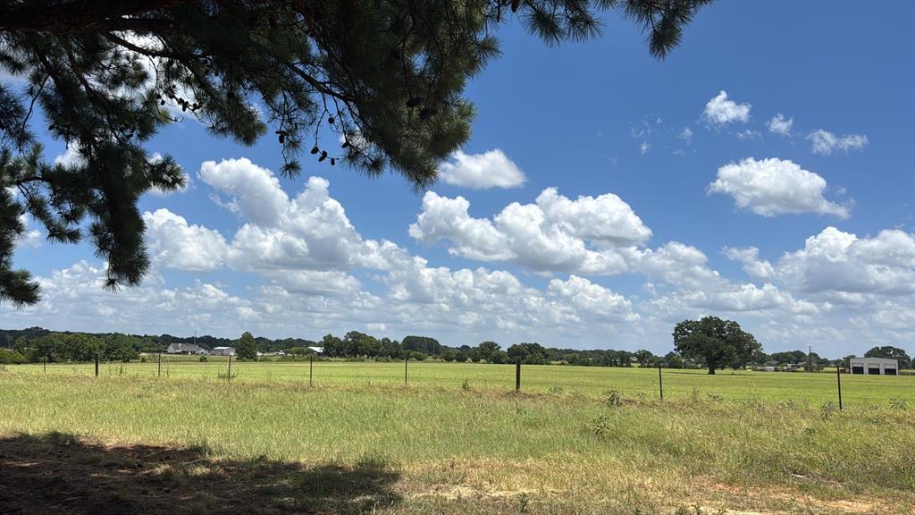 5337 Dusty Road Athens, TX 75752 - Photo 27 of 32 Acreage
