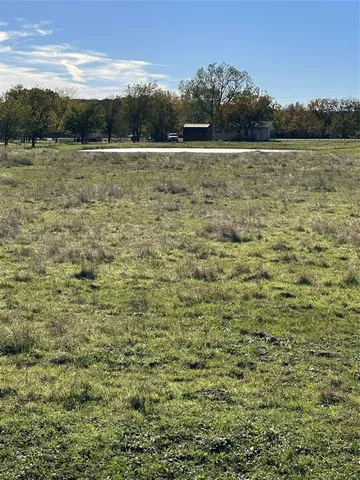 a view of park with large trees