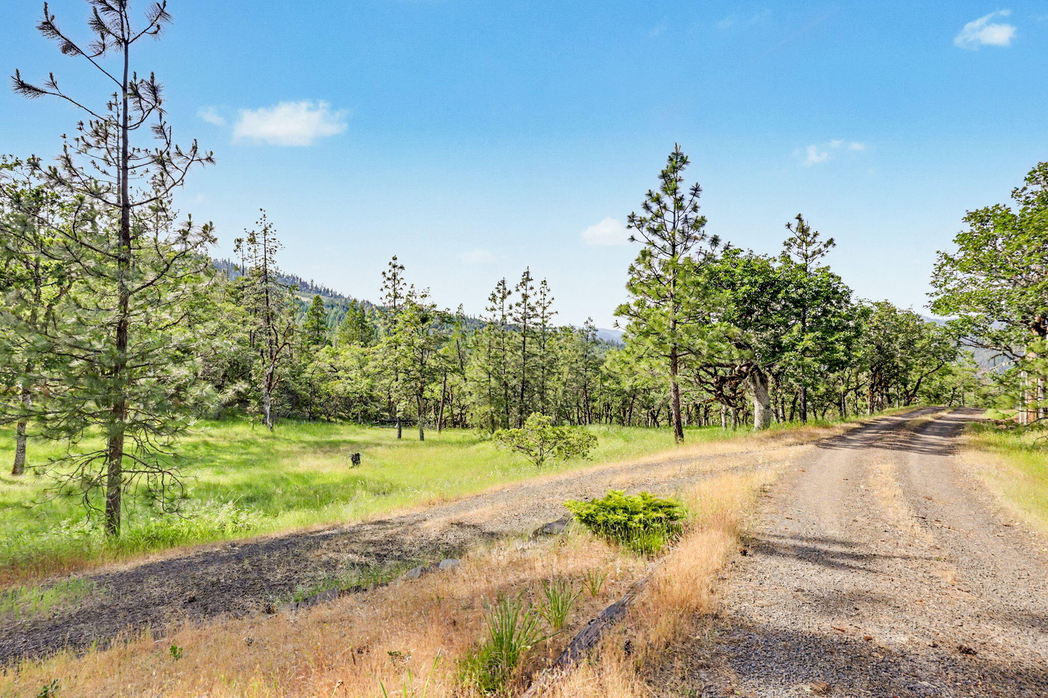 275 Citadel Road Trail, OR 97541 - Photo 10 of 46 ApxCD00010
