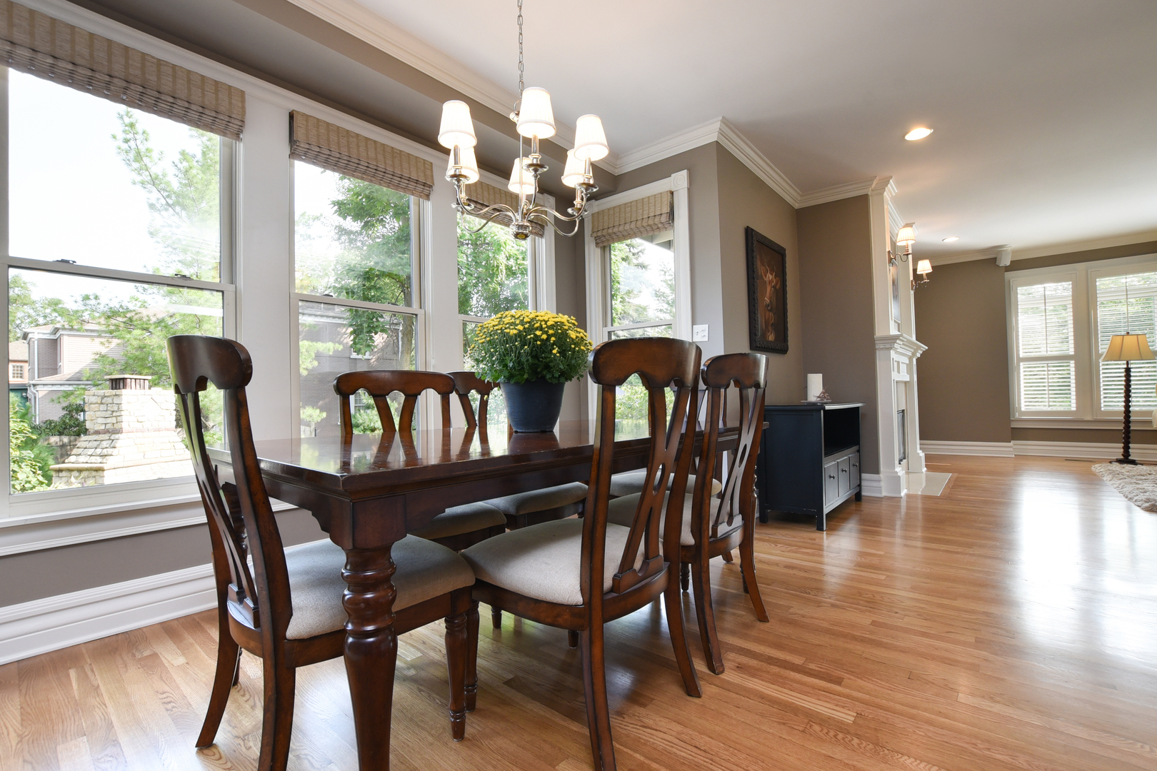 300 North Delaplaine Road Riverside, IL 60546 - Photo 20 of 50 a view of a dining room with furniture window and wooden floor