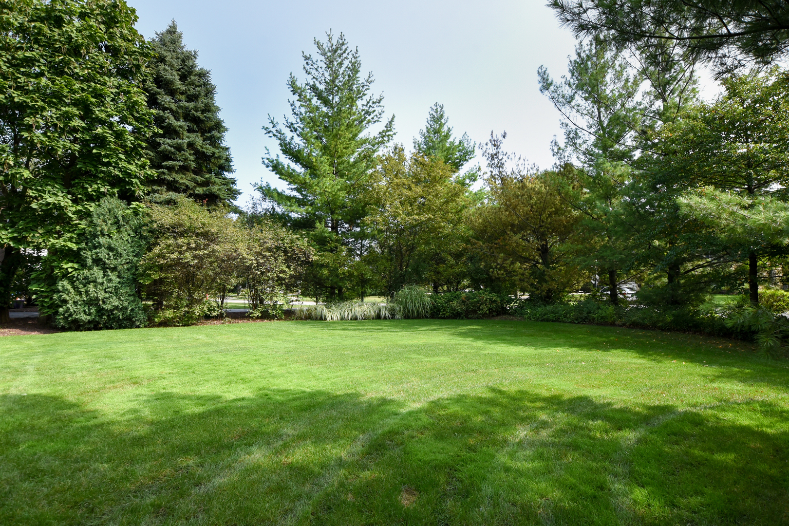 300 North Delaplaine Road Riverside, IL 60546 - Photo 49 of 50 a view of a green yard