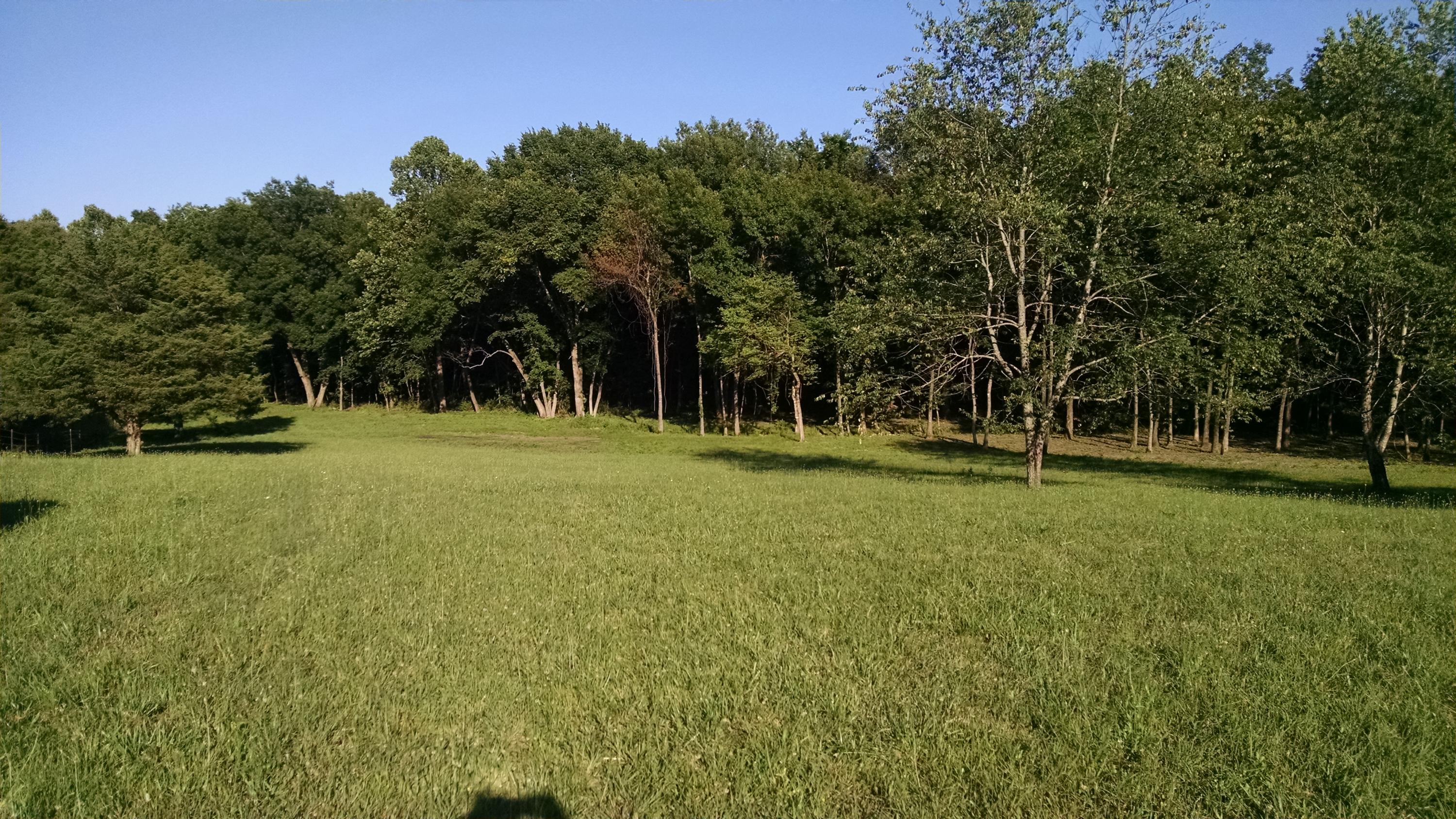 12257 State Rte A Seymour, MO 65746 - Photo 1 of 1 main
