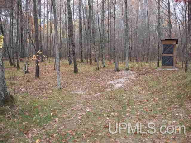 T-wi Bear View Lane Amberg, WI 54102 - Photo 5 of 8