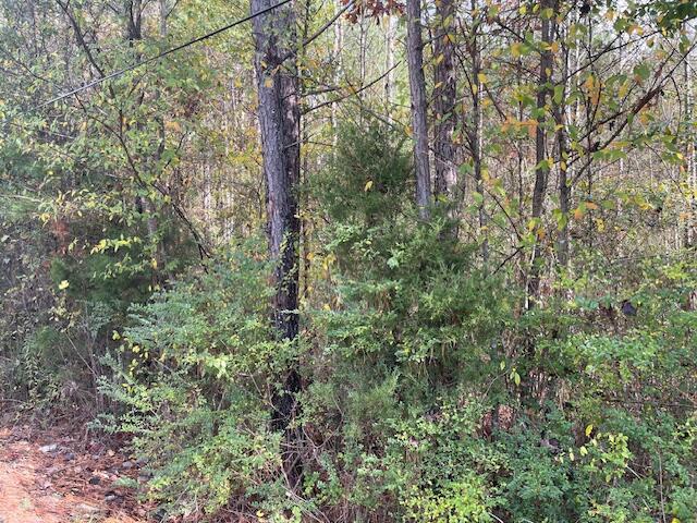 0 Probasco Street LaFayette, GA 30728 - Photo 2 of 6 IMG_2917