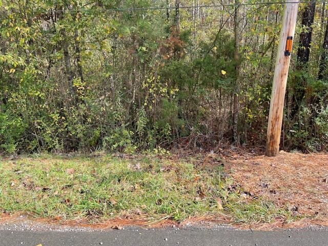 0 Probasco Street LaFayette, GA 30728 - Photo 3 of 6 IMG_2915