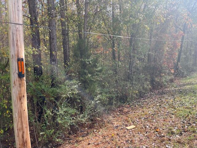 0 Probasco Street LaFayette, GA 30728 - Photo 4 of 6 IMG_2914