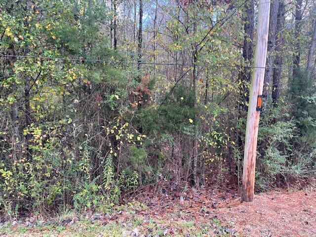 0 Probasco Street LaFayette, GA 30728 - Photo 5 of 6 IMG_2913