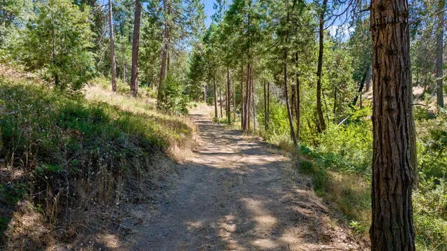 $479,900 | 48675 Todd Eymann Road, Miramonte, CA 93641