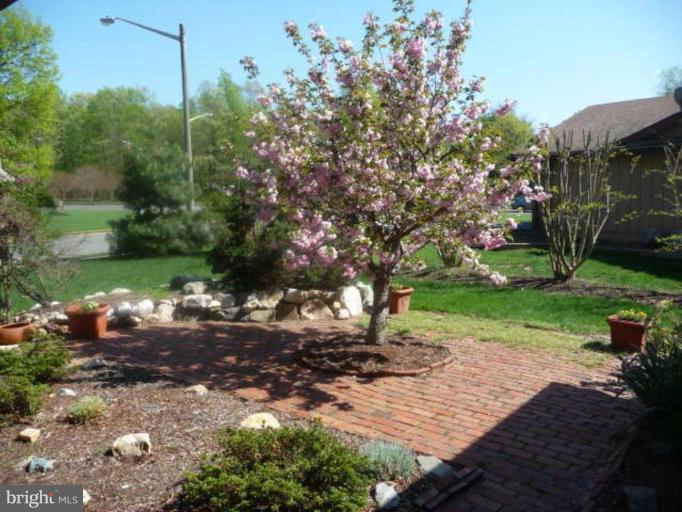 5956 Hall Street Springfield, VA 22152 - Photo 2 of 25 Patio