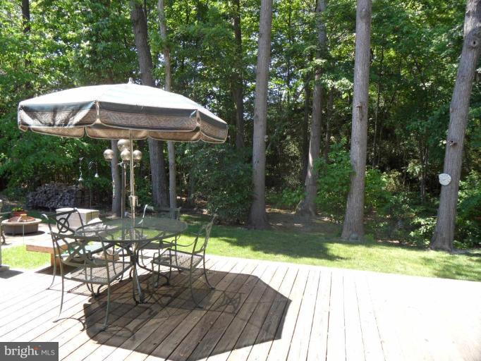 5956 Hall Street Springfield, VA 22152 - Photo 21 of 25 Garden