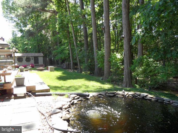 5956 Hall Street Springfield, VA 22152 - Photo 23 of 25 Wooded View / Acreage