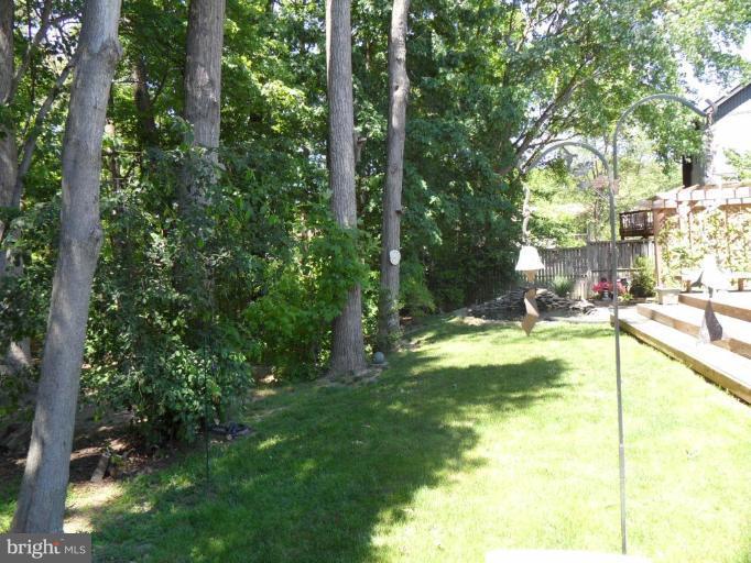 5956 Hall Street Springfield, VA 22152 - Photo 24 of 25 Garden #2