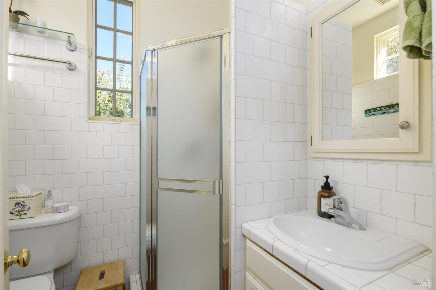5430 Putah Creek Road Winters, CA 95694 - Photo 31 of 99 a bathroom with a sink a toilet and shower
