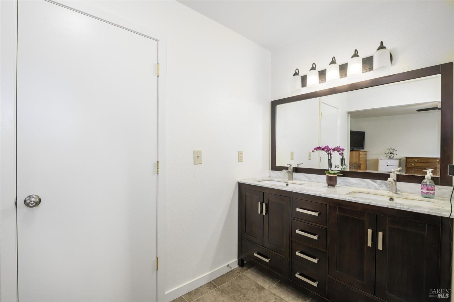 5430 Putah Creek Road Winters, CA 95694 - Photo 53 of 99 a bathroom with a sink vanity and mirror