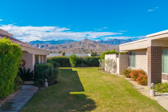 a view of a backyard with plants and a patio