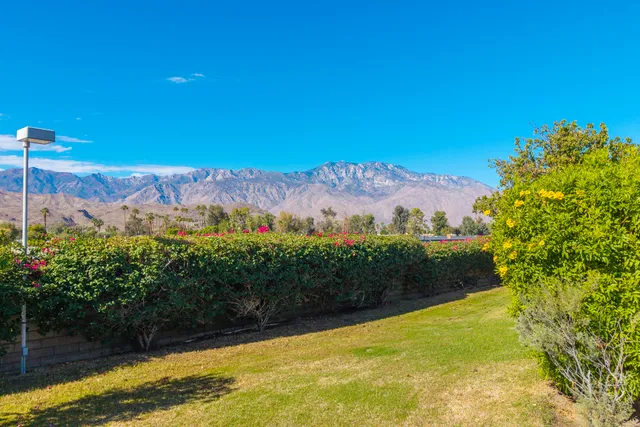 a view of a lake with a mountain in the background