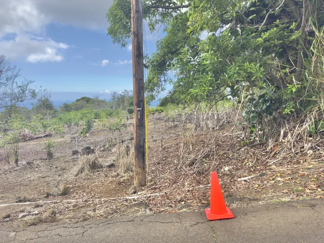 a view of a street with houses on the road