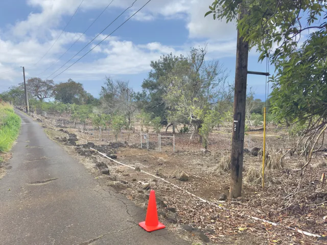 a view of road and bridge