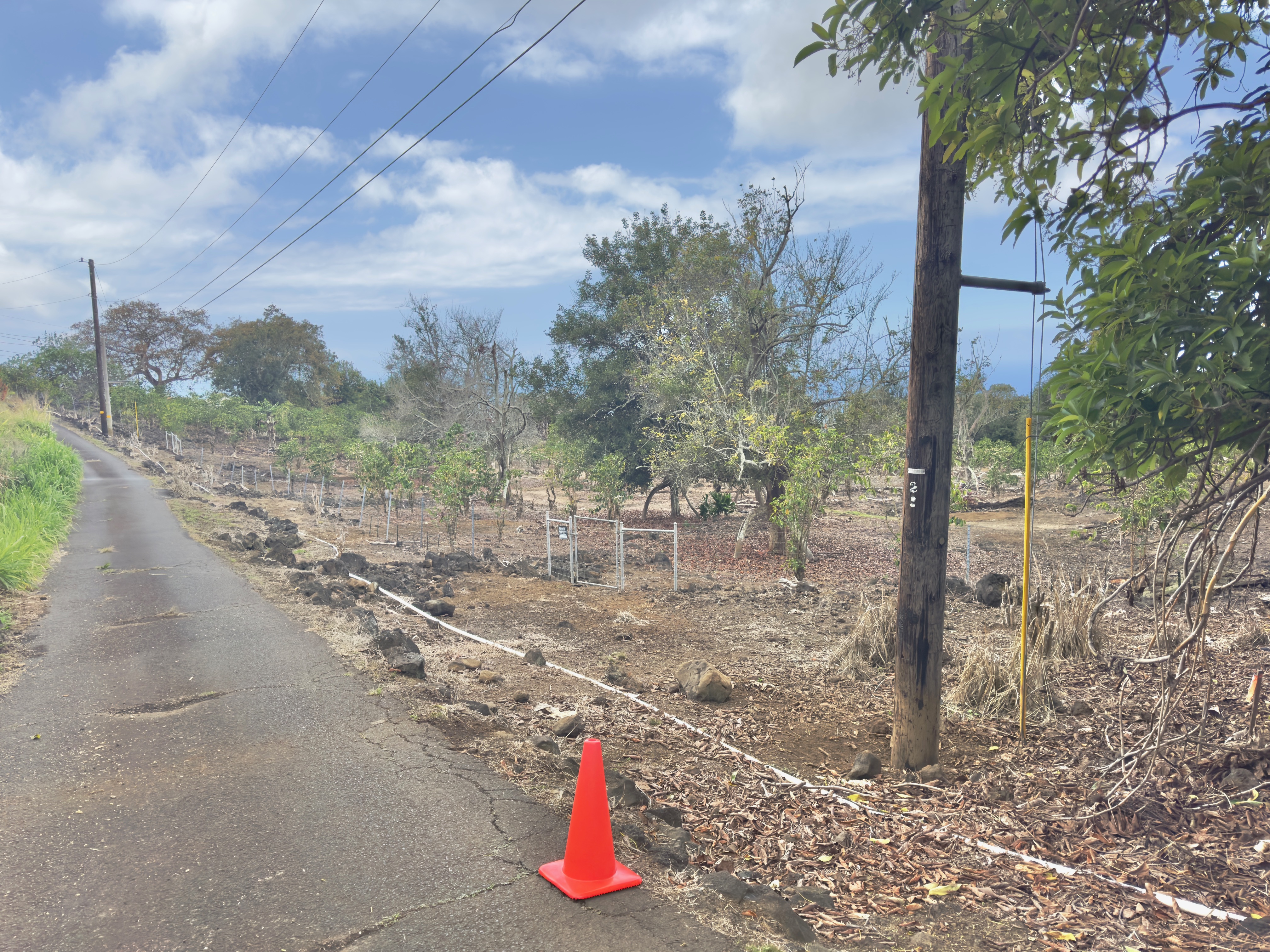 82-1091 Kinue Road Captain Cook, HI 96704 - Photo 19 of 28 a view of a road with trees in the background