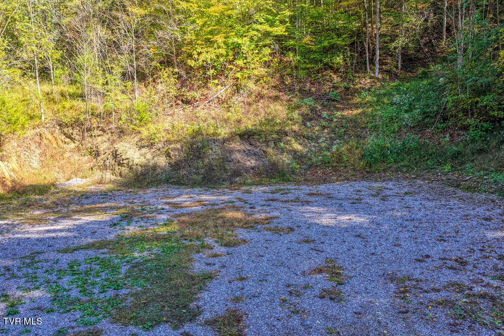 3652 Horton Ford Road Eidson, TN 37731 - Photo 12 of 61 3652 Horton Ford Rd MLSa (12 of 37)