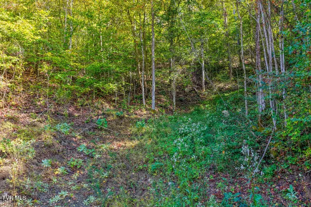 $399,900 | 3652 Horton Ford Road, Eidson, TN 37731