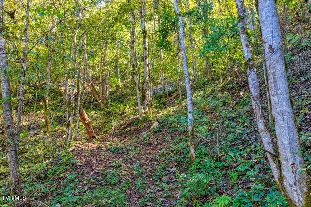 3652 Horton Ford Road Eidson, TN 37731 - Photo 16 of 61 3652 Horton Ford Rd MLSa (16 of 37)