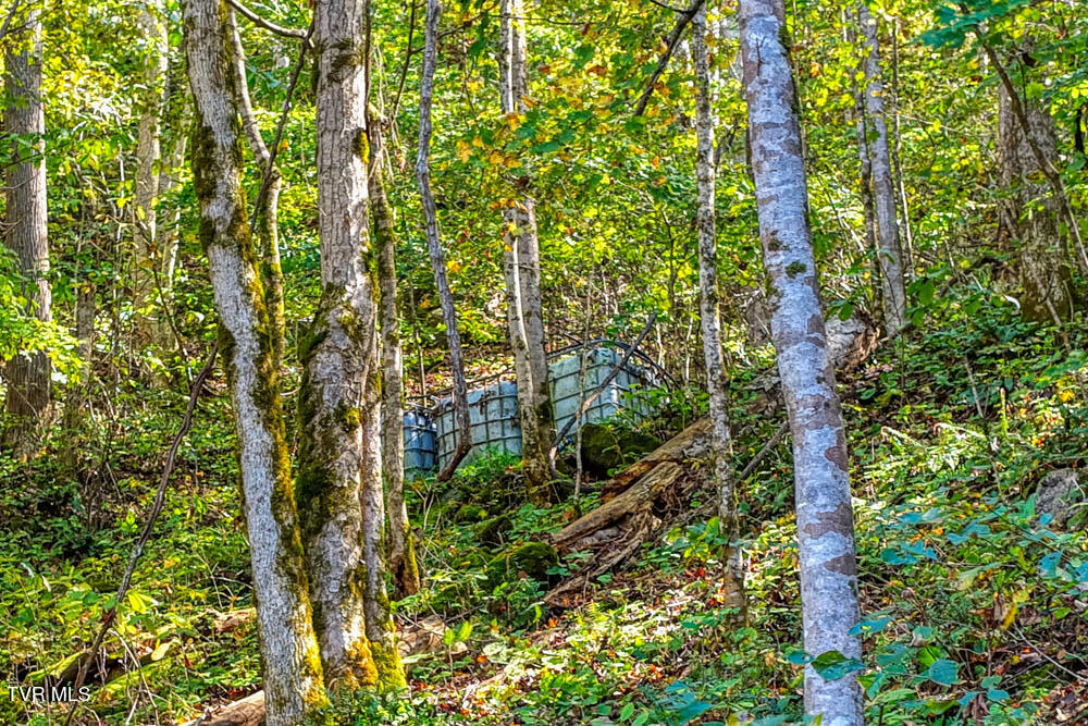 3652 Horton Ford Road Eidson, TN 37731 - Photo 17 of 61 3652 Horton Ford Rd MLSa (17 of 37)