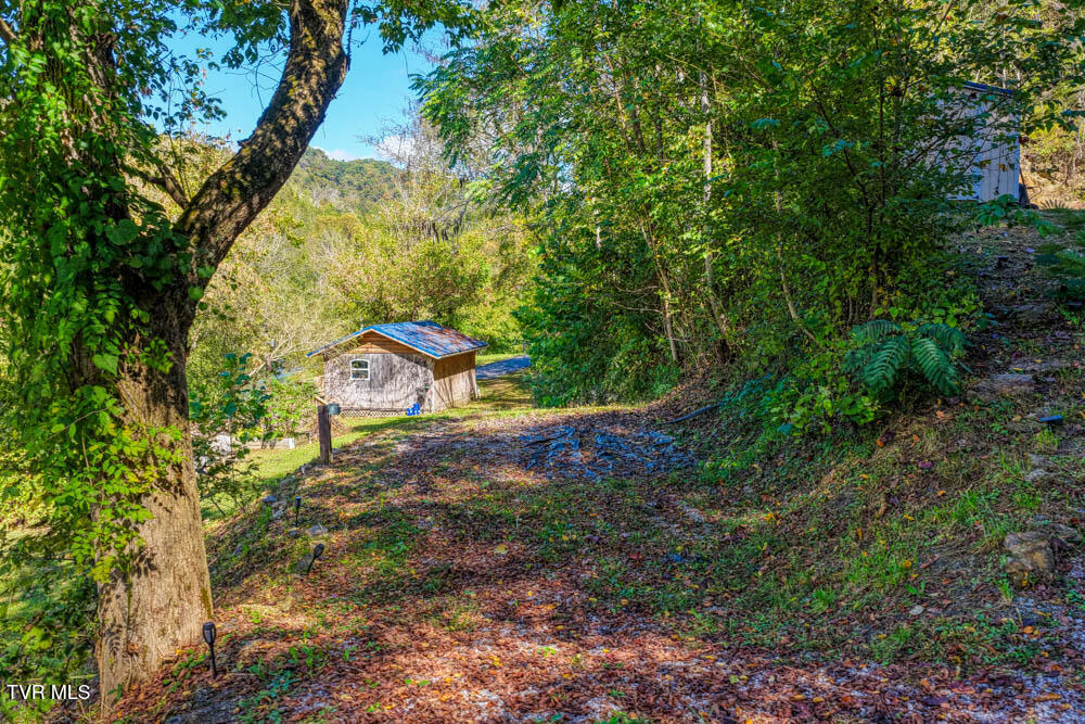 3652 Horton Ford Road Eidson, TN 37731 - Photo 9 of 61 3652 Horton Ford Rd MLSa (9 of 37)