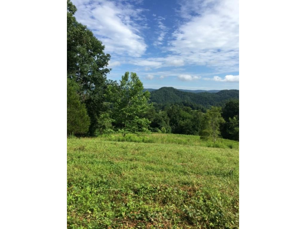 0 Mccoy Road Sneedville, TN 37869 - Photo 1 of 16 Photo 1