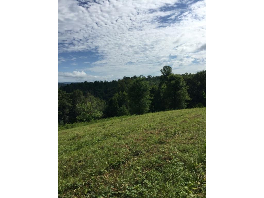 0 Mccoy Road Sneedville, TN 37869 - Photo 2 of 16 Photo 2